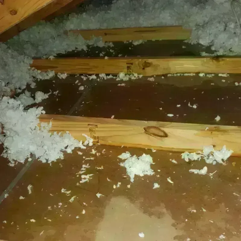 Attic Water Damage in Moriches, NY